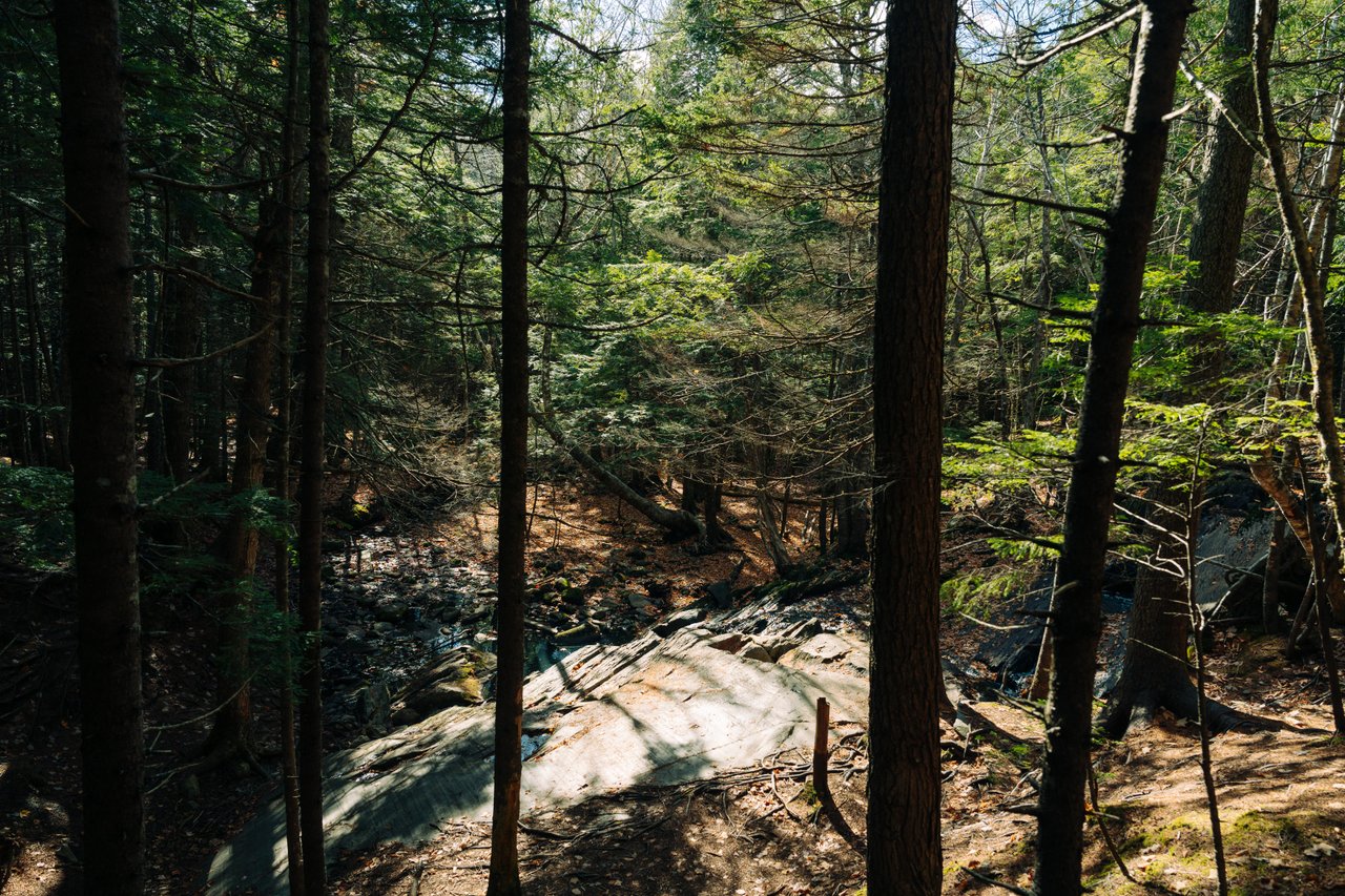 Webber Lake Falls Trailhead gallery image