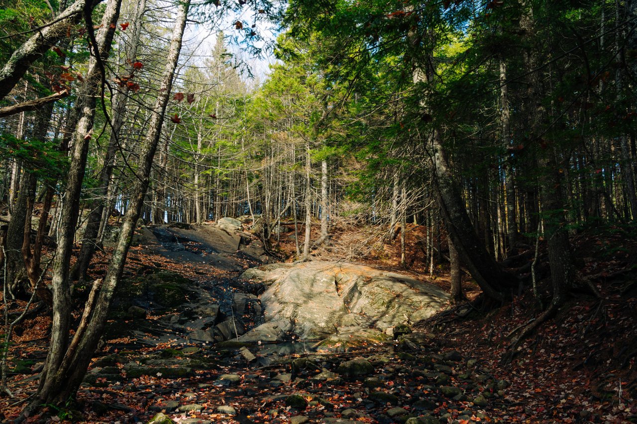Webber Lake Falls Trailhead gallery image