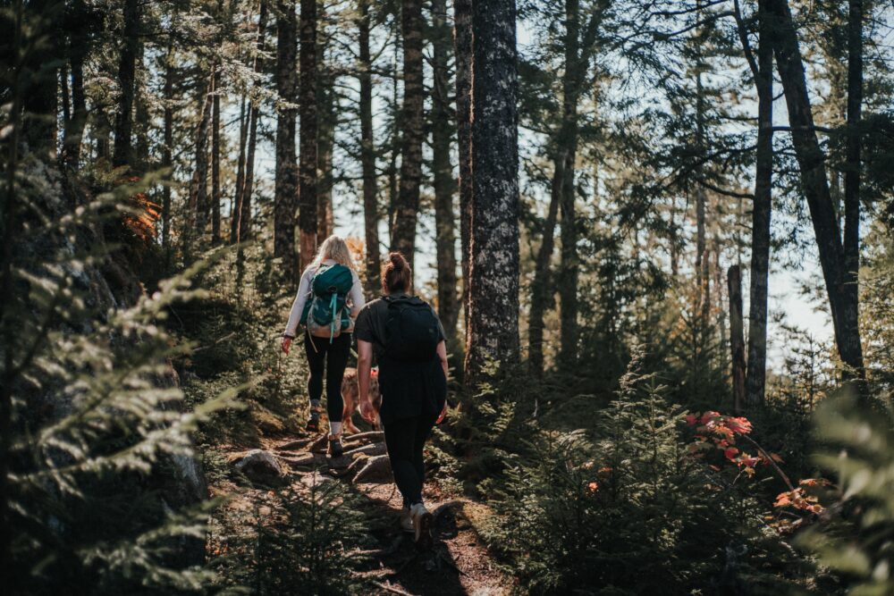 Gibraltar Rock Loop Trailhead image