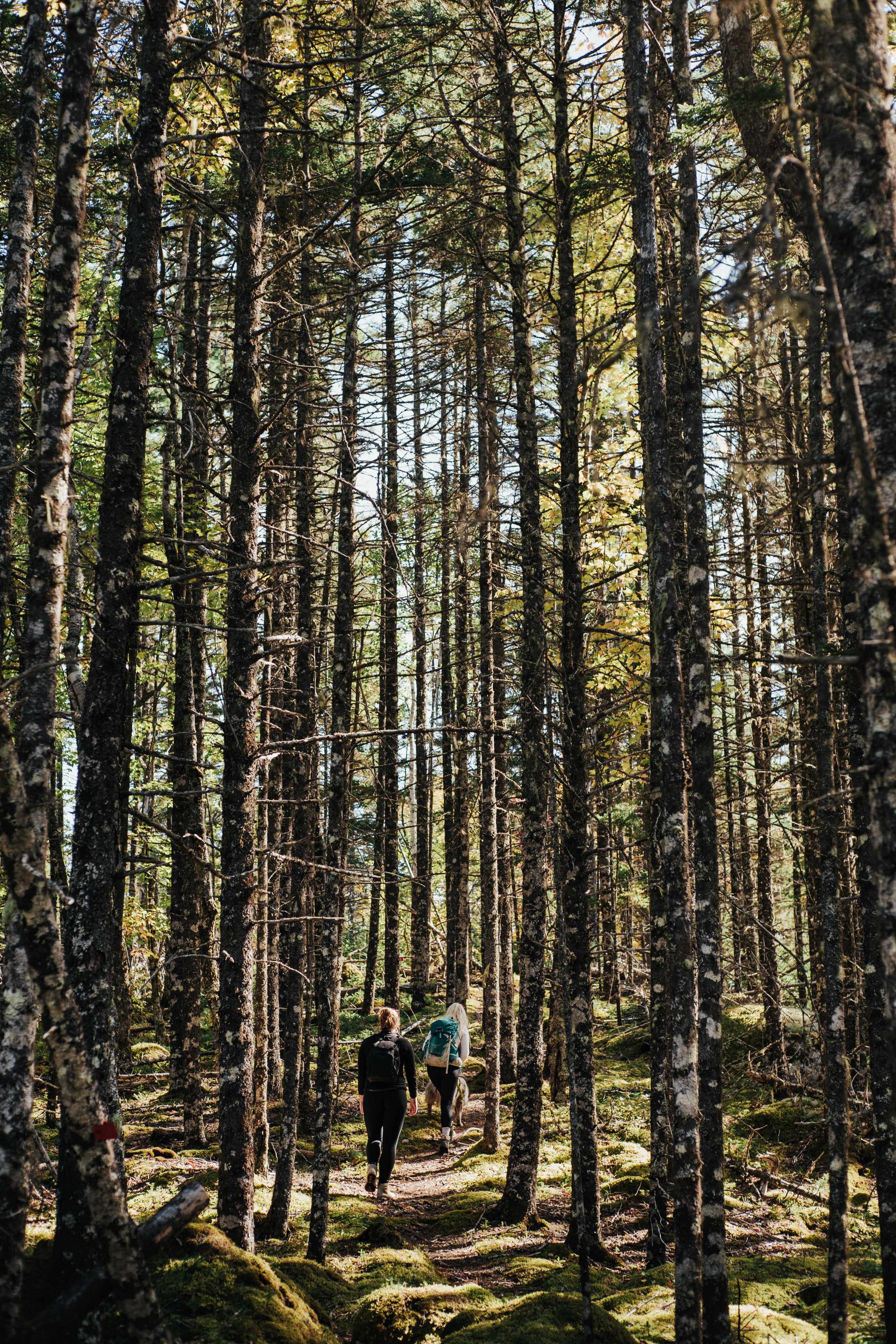 Gibraltar Rock Loop Trailhead gallery image