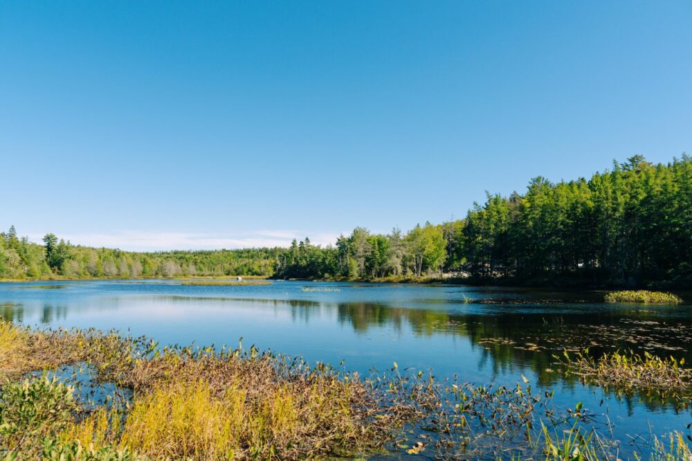 Woodens River Trailhead image