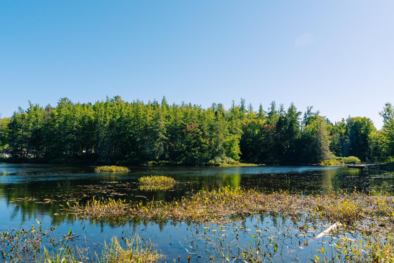 Woodens River Trailhead gallery image