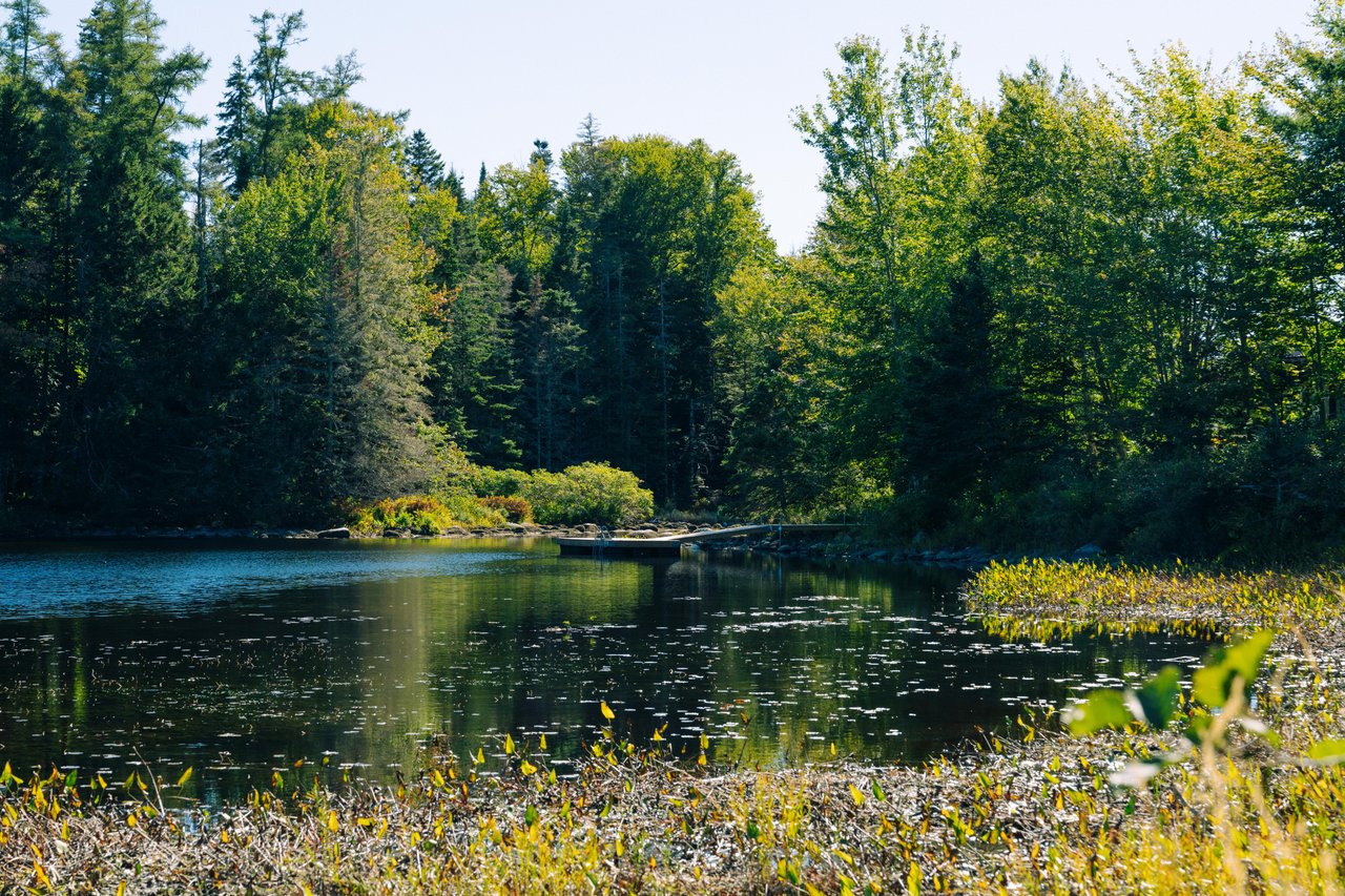 Woodens River Trailhead gallery image