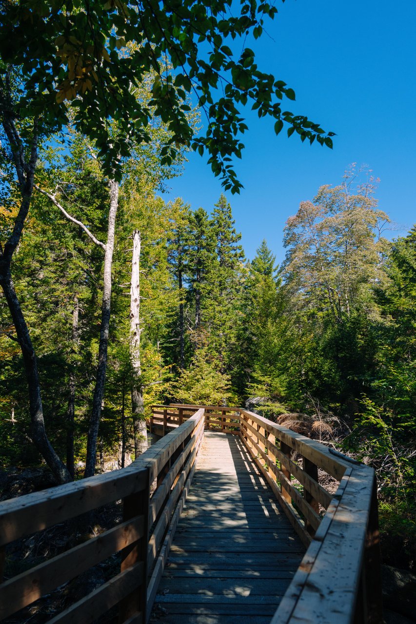 Nichols Lake Trail gallery image