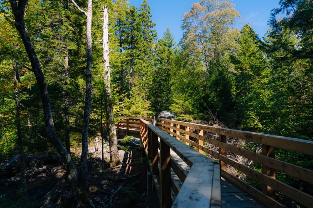 Nichols Lake Trail image