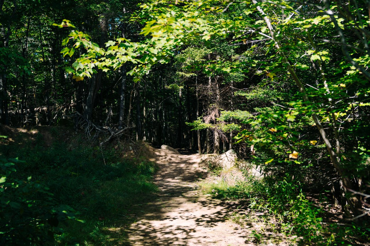 Nichols Lake Trail gallery image