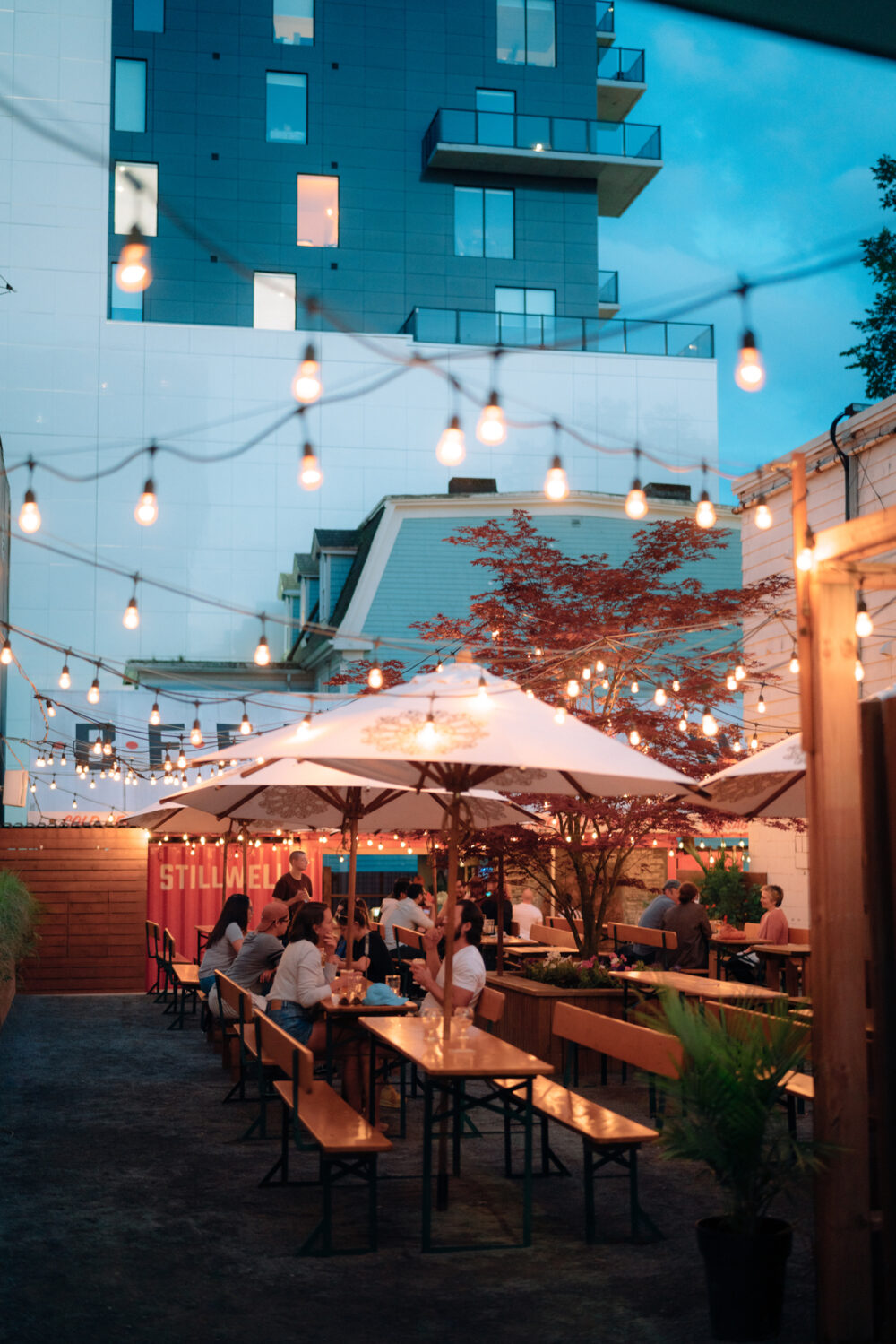 Nightlife quick navigation card image