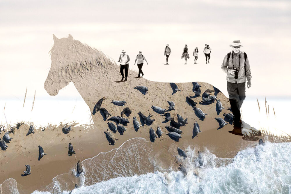 Photo Workshop With Len Wagg - Storytelling on Sable Island image