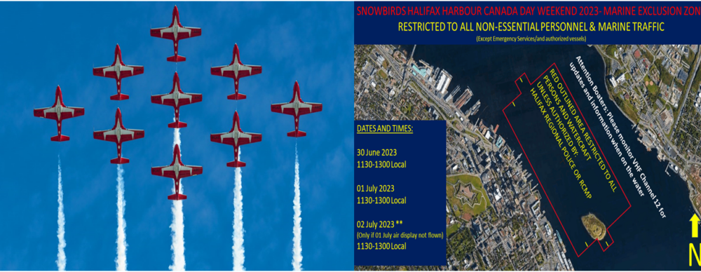 The Canadian Forces Snowbirds air show image