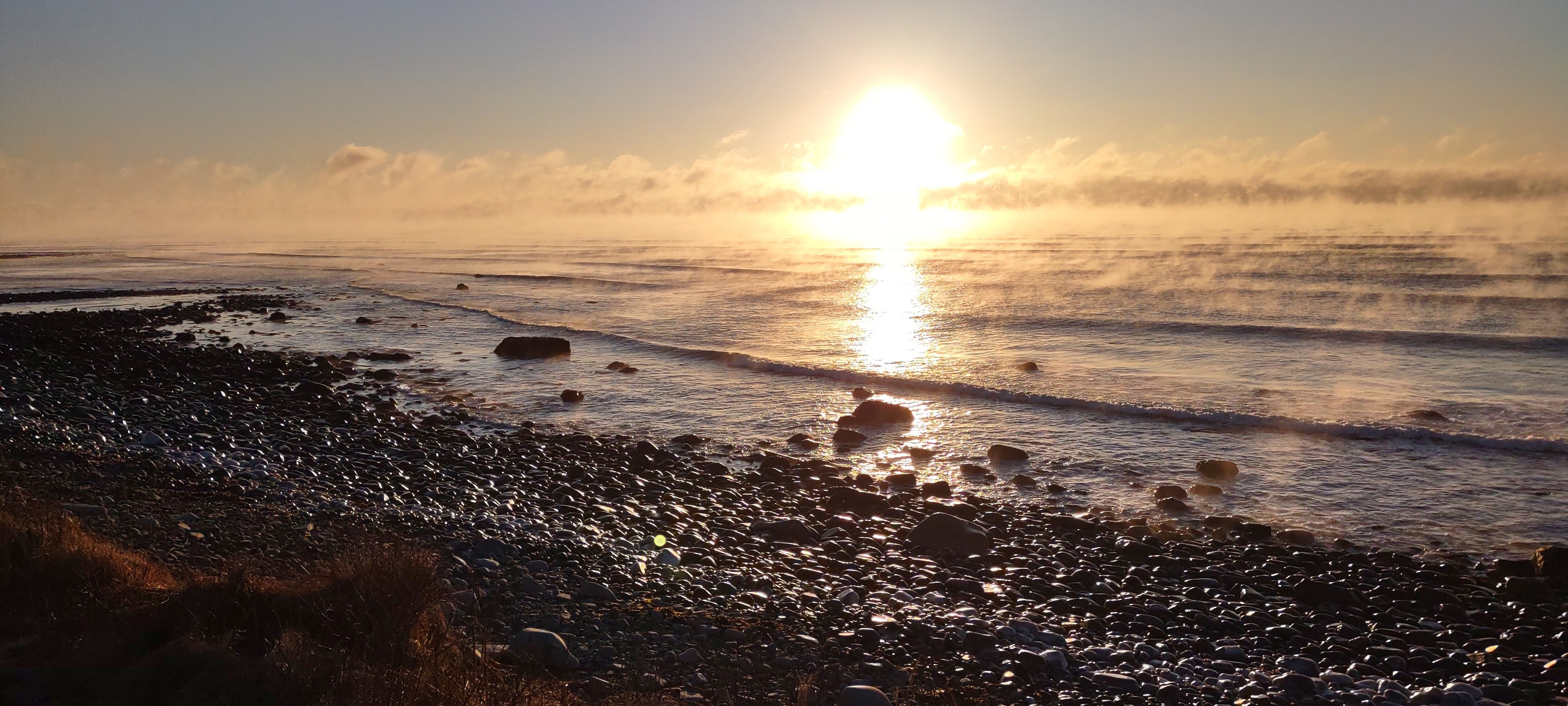 Ask a Local Oceanside Adventure in Eastern Passage Discover Halifax