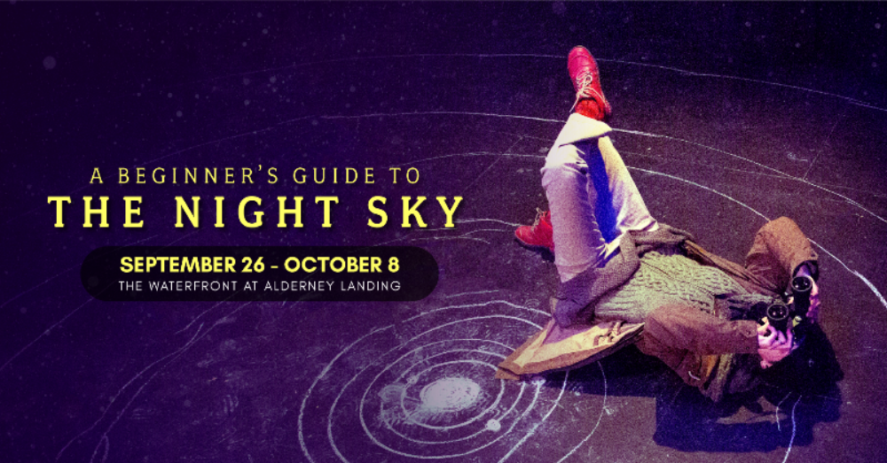 A Beginner's Guide to the Night Sky image