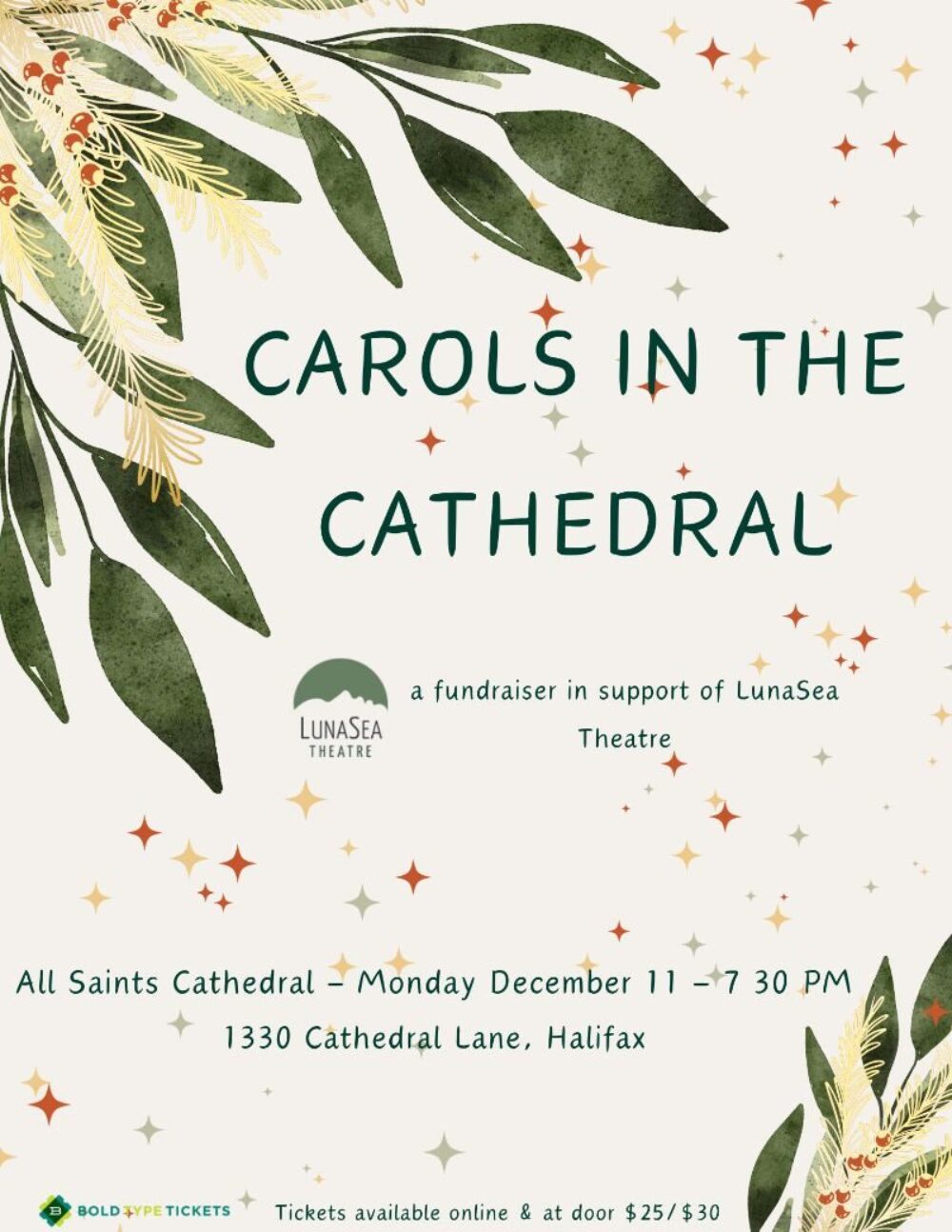 LunaSea Theatre's Carols in the Cathedral image