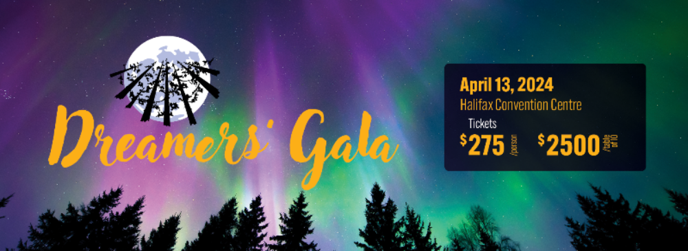 Dreamers' Gala image