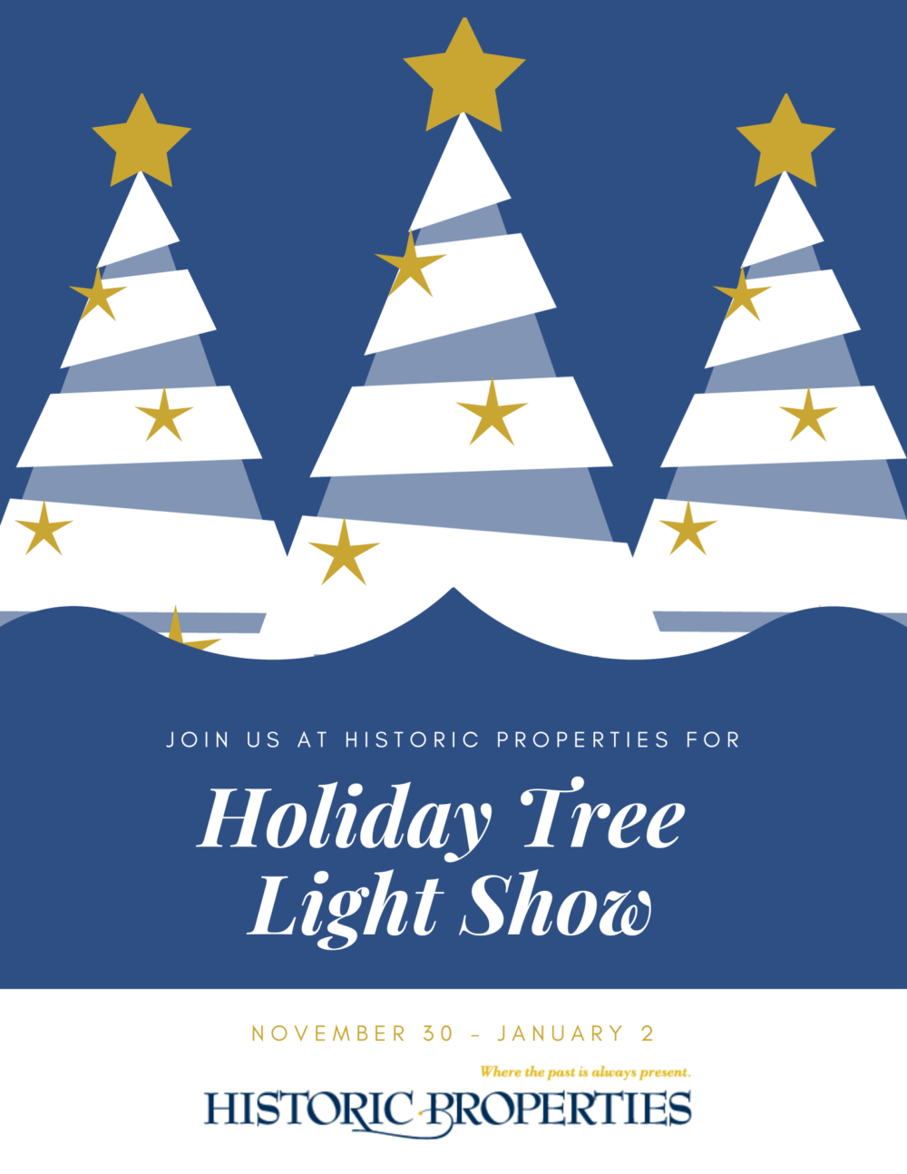 Holiday Tree Light Show image