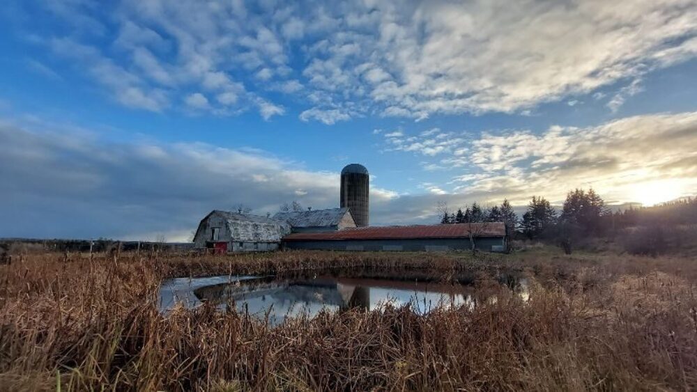Livestock 101 Workshop image
