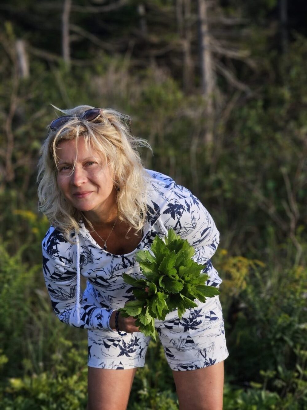 Wild Foraging Ecotour with Gourmet Lunch image