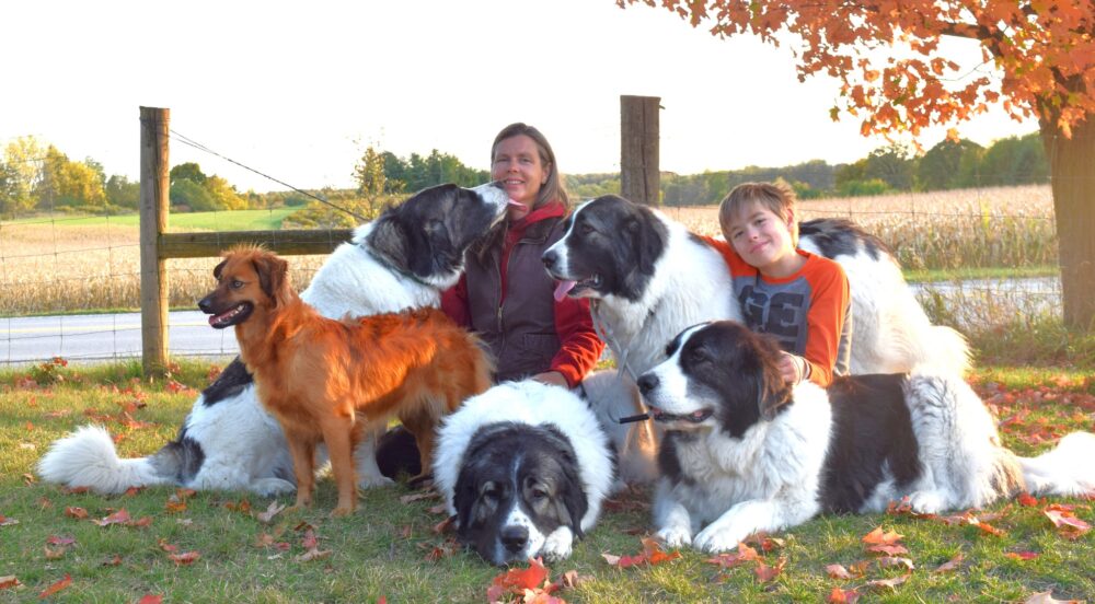 Sacred Eagle Farm: Homestay & Homestead Experiences image