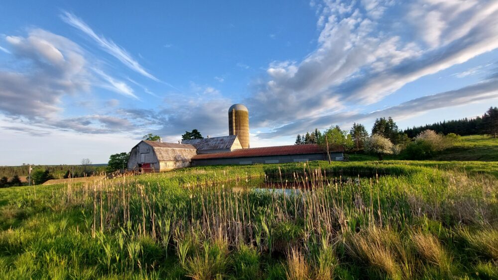 Sacred Eagle Farmstead & Retreat image