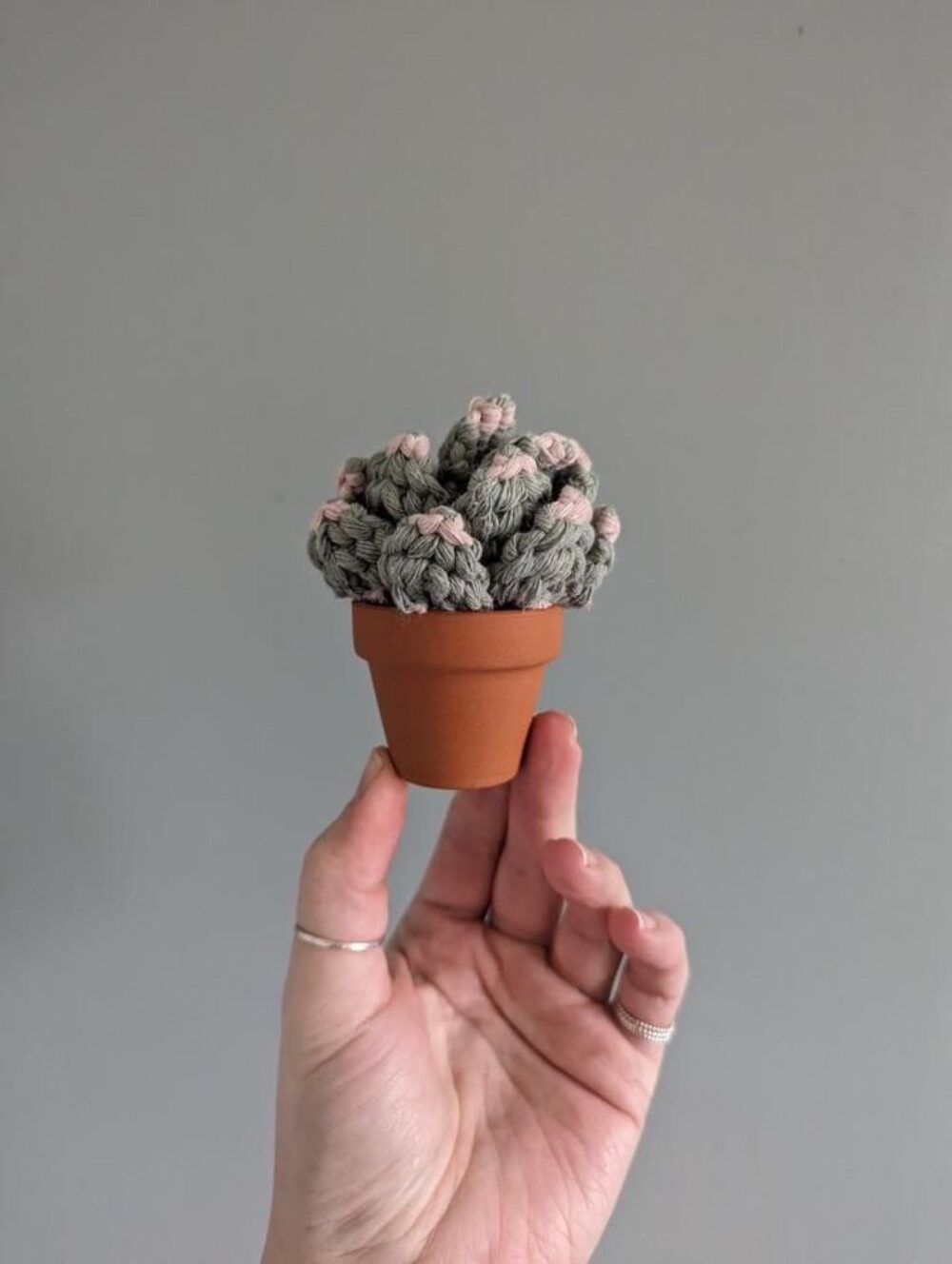 Yoga & Macrame image