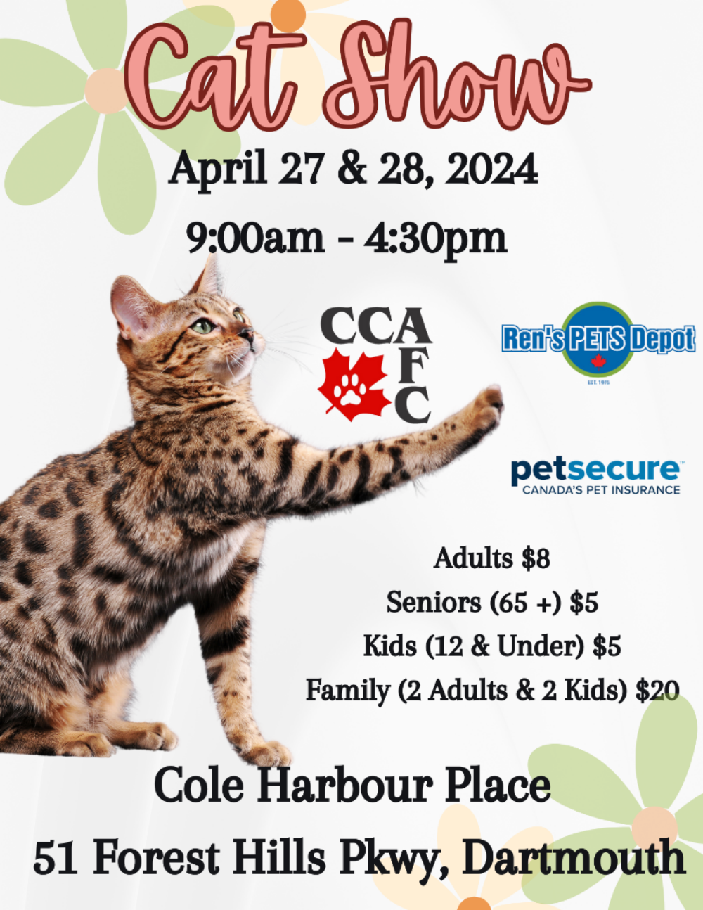 Dartmouth Cat Show Discover Halifax