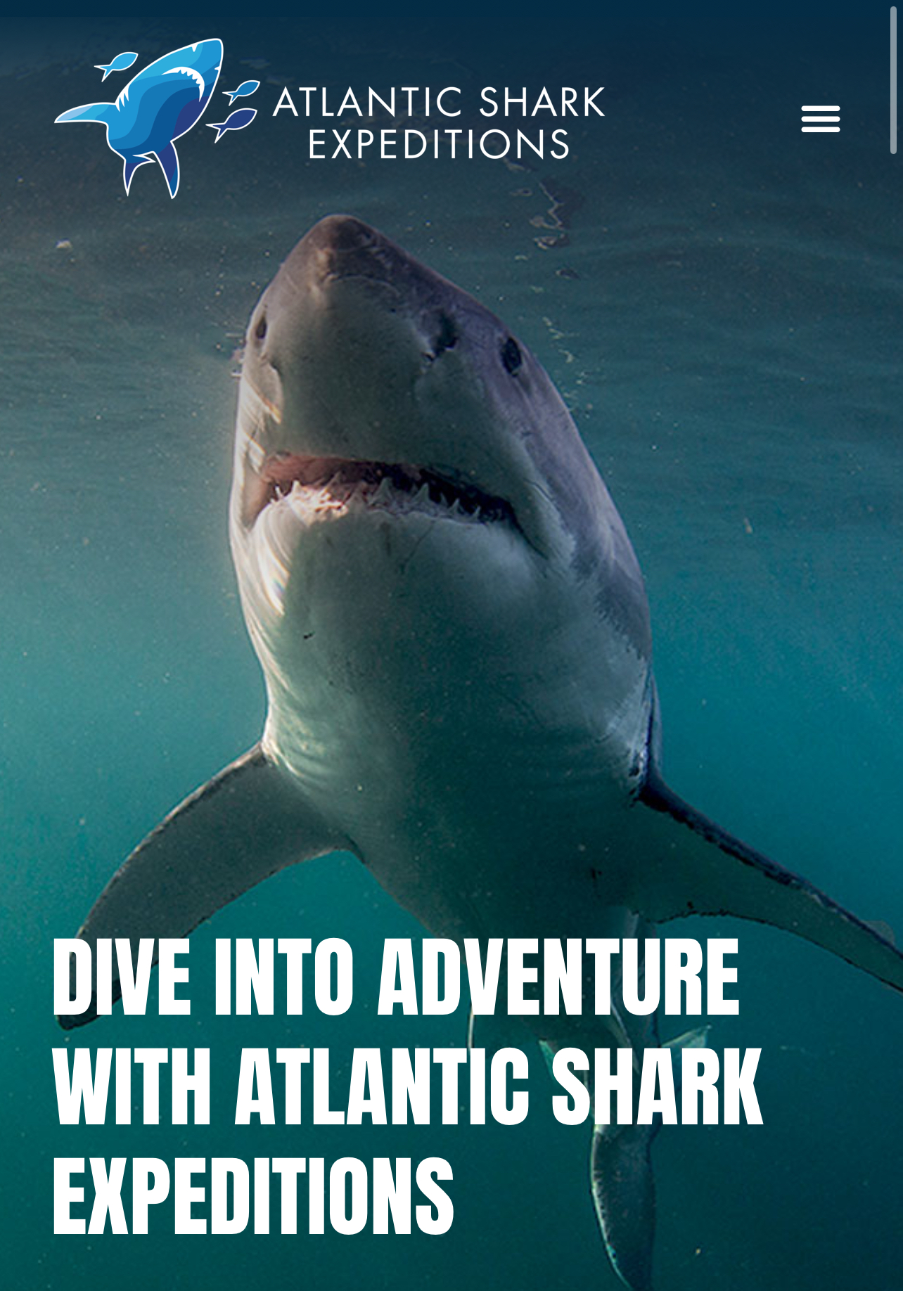 Atlantic Shark Expeditions gallery image
