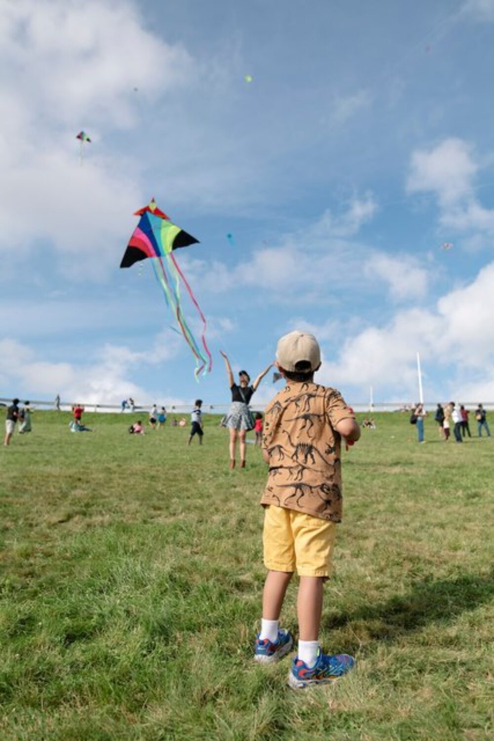 East Coast Kite Festival image