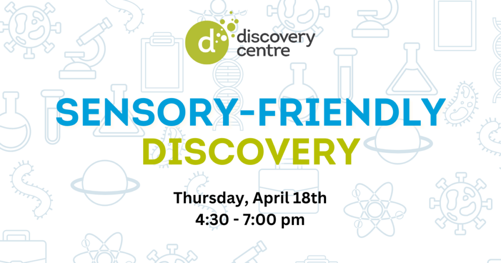 Sensory-Friendly Discovery image
