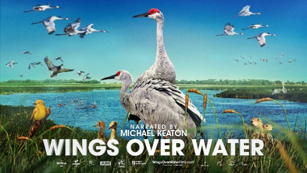 Wings over Water Screening image