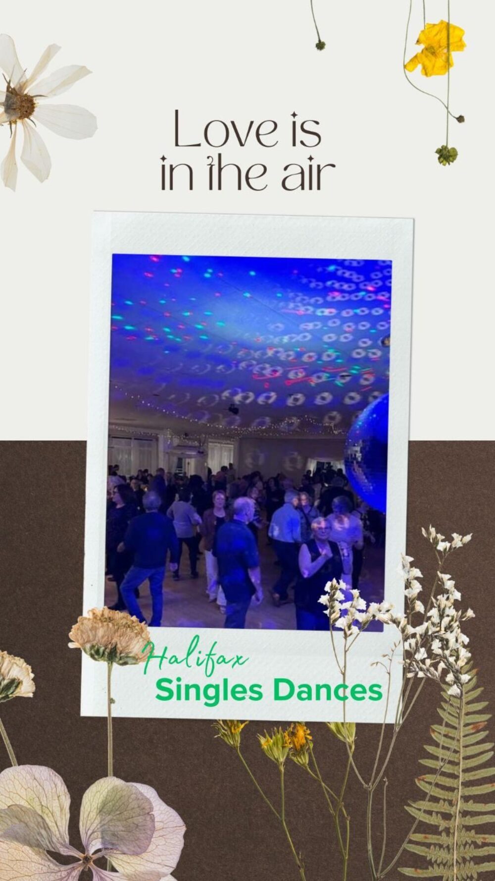 Halifax Singles Dances image