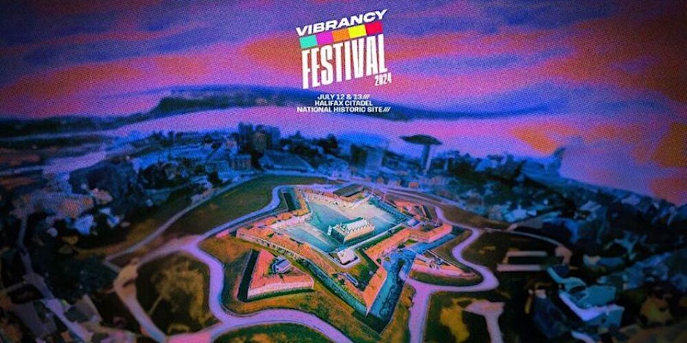 Vibrancy Festival 2024 image