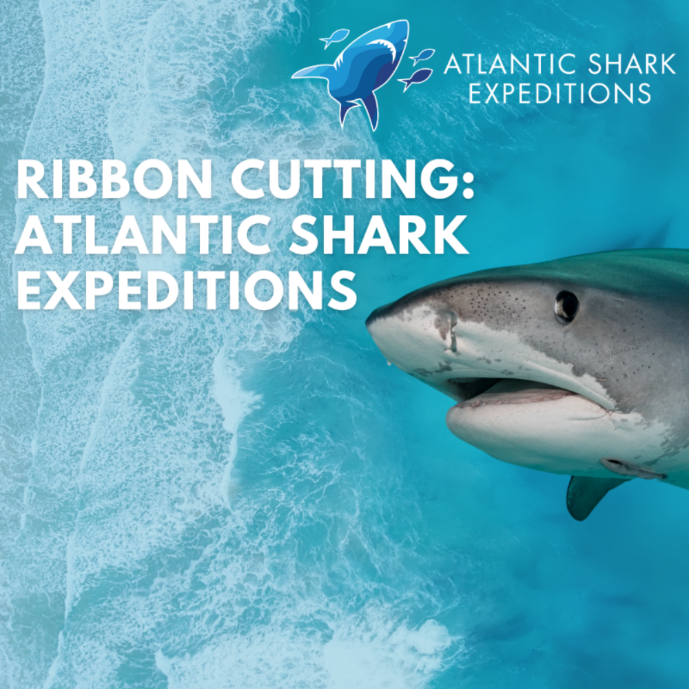 Atlantic Shark Expeditions Ribbon Cutting Summer Kick Off image