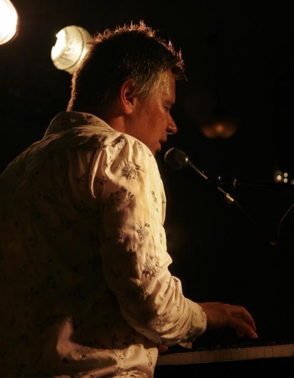 Public Gardens Concert Series - Kim Dunn image