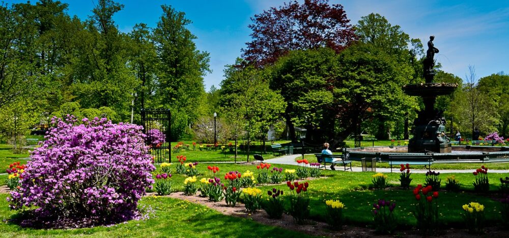 Public Gardens Concert Series - John Alphonse & the Waterfront Stompers Dixieland band image