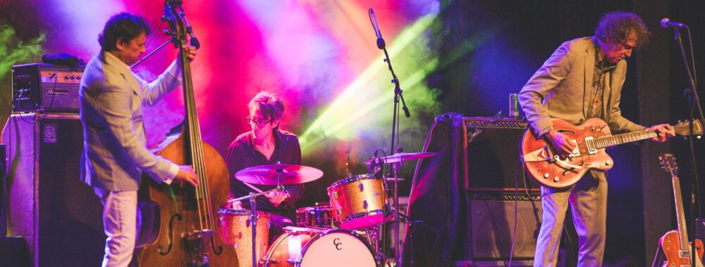 The Sadies Tour image