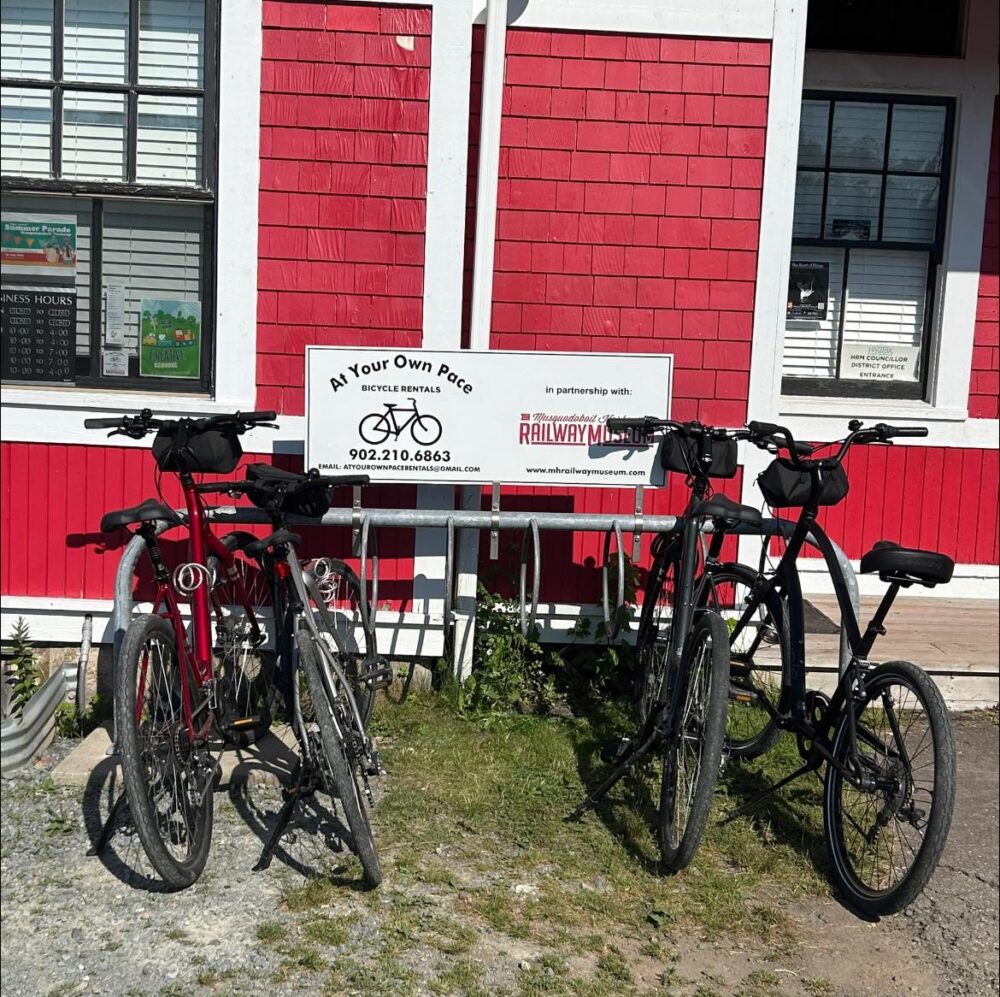 At Your Own Pace Bicycle Rentals image