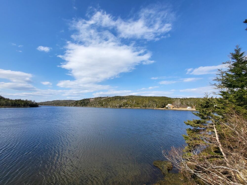 J'ADORE@OYSTER POND image