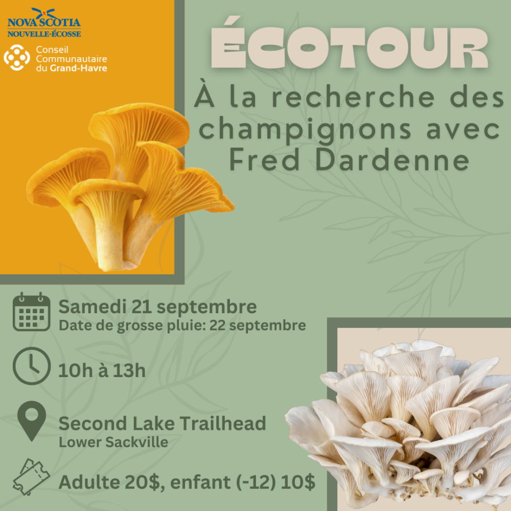 Ecotour: Mushroom Quest with Fred Dardenne / Écotour : À la recherche des champignons avec Fred Dardenne image