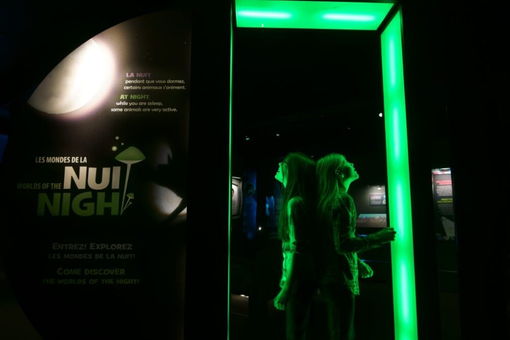 Exhibition: Worlds of the Night image