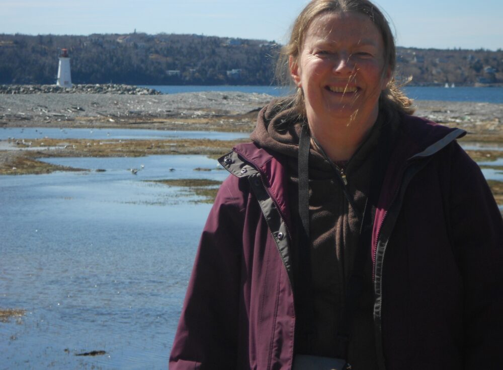 McNabs Island – The Jewel in the Harbour! image