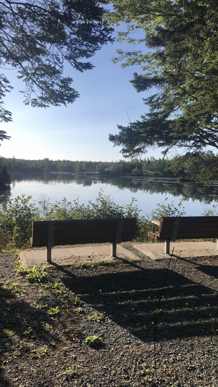 Gaetz Brook Greenway carousel image