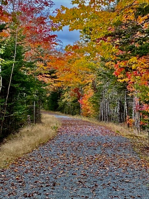 Gaetz Brook Greenway carousel image