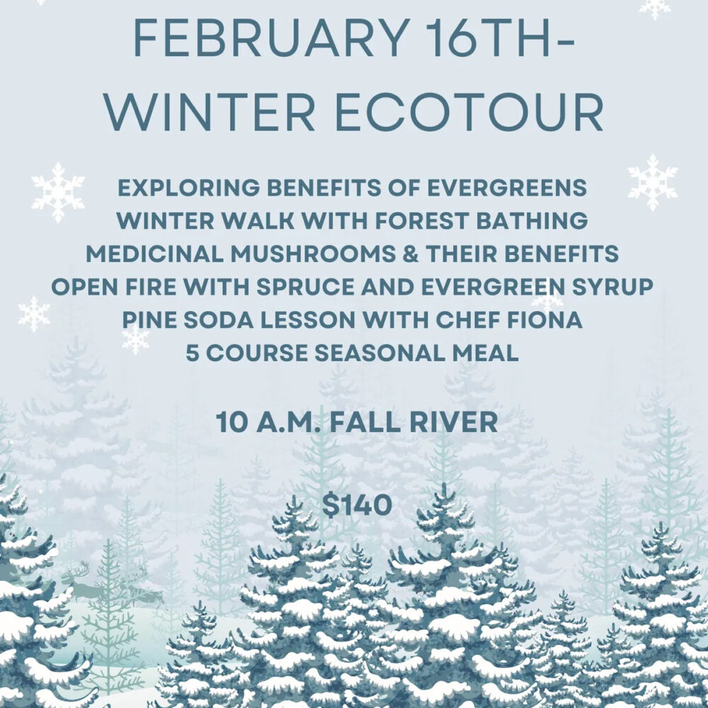 Winter Ecotour image