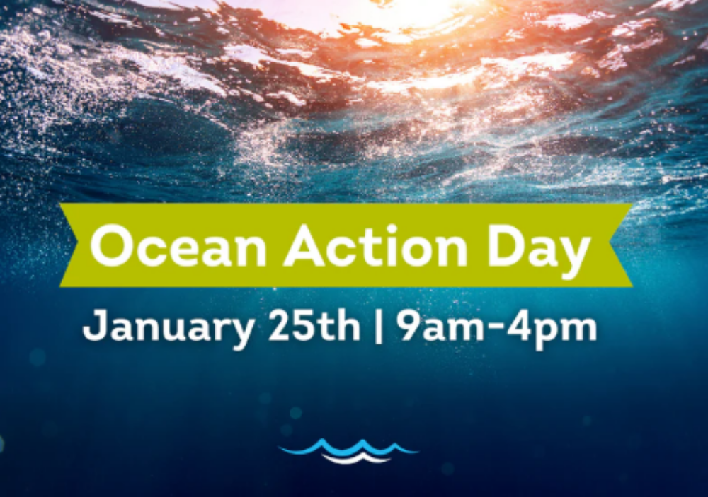 Divert NS Presents Ocean Action Day image