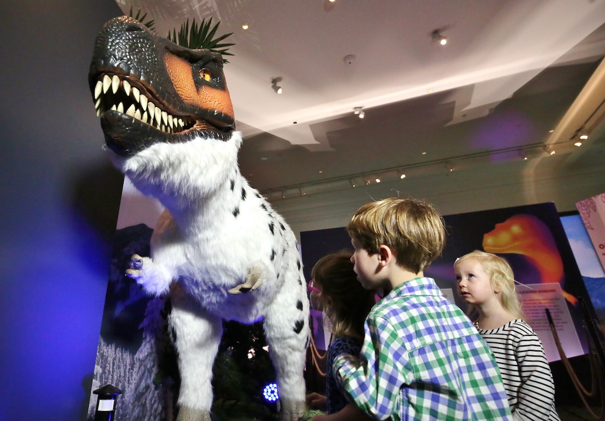 Little Learners: Dinosaur Detectives - Discover Halifax