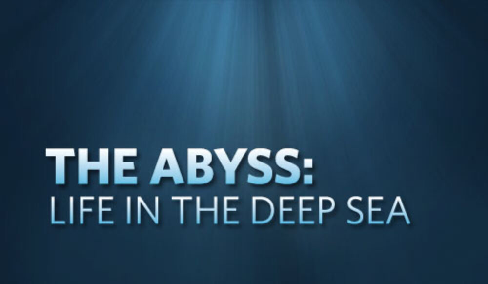 Museum of Natural History Presents The Abyss - Life in the Deep Sea image
