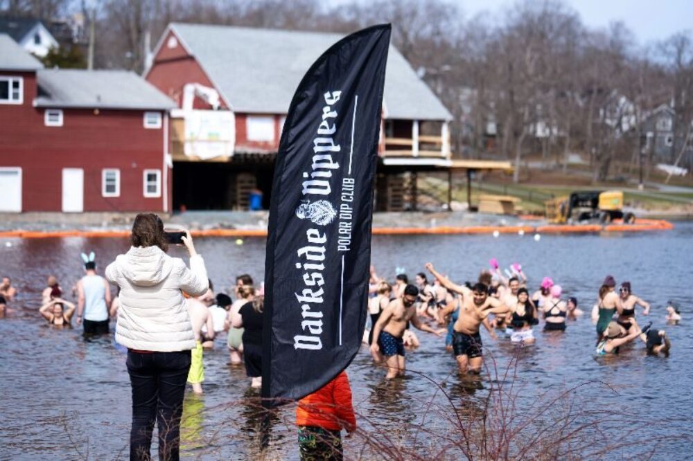 Darkside Dippers - Community Polar Dip image