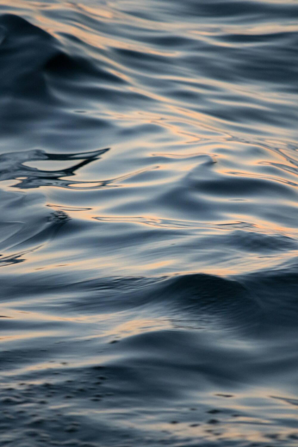 St. Paddy's Day Polar Dip image