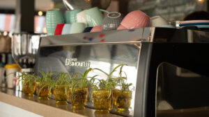 Coffee Stops for Runners in Halifax image