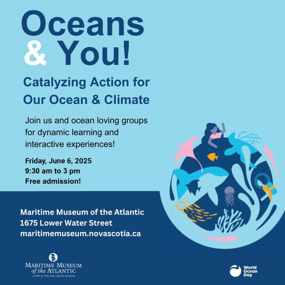 Oceans & You! Catalyzing Action for Our Ocean & Climate image