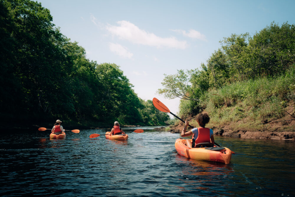 Musquodoboit River Social Paddle image